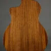 2025 Taylor 254ce Plus Acoustic Electric 12-String Guitar – Used