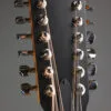2025 Taylor 254ce Plus Acoustic Electric 12-String Guitar – Used