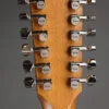 2025 Taylor 254ce Plus Acoustic Electric 12-String Guitar – Used