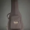 2025 Taylor 254ce Plus Acoustic Electric 12-String Guitar – Used
