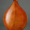 2026 Northfield WaveLength NFO-AT4 Octave Mandolin-Used