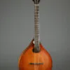 2026 Northfield WaveLength NFO-AT4 Octave Mandolin-Used