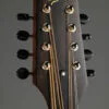 2026 Northfield WaveLength NFO-AT4 Octave Mandolin-Used