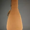 Blueridge BR-40 Acoustic Guitar – New