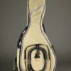 Boulder CB-320TN Alpine F-Mandolin Tan Gig Bag
