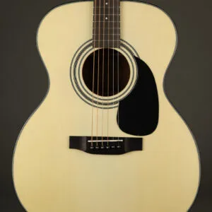Bristol BM-16 000 Steel String Acoustic Guitar – New
