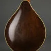 C.1924 Washburn (Lyon & Healy) Style C Mandolin-Used