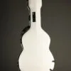 Calton Stratocaster Case, White with Green Interior – New
