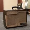 Carr Raleigh 1×10″ Combo Amplifier Cowboy Tolex/Hardwood Barnwood New