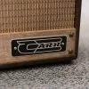 Carr Raleigh 1×10″ Combo Amplifier Cowboy Tolex/Hardwood Barnwood New