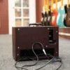 Carr Raleigh 1×10″ Combo Amplifier Wine – New