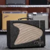 Carr Trail Rider 1-12″ Combo, Black Electric Guitar Amplifier – New