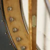 Circa 1915 Orpheum No. 2 5-string Banjo Used