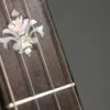 Circa 1915 Orpheum No. 2 5-string Banjo Used