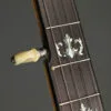 Circa 1915 Orpheum No. 2 5-string Banjo Used