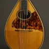 Circa 1926 Maurer Model 15 (Larson Brothers) Mandolin – Used