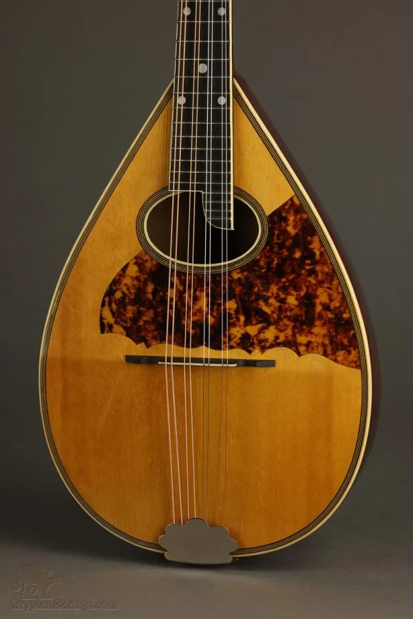 Circa 1926 Maurer Model 15 (Larson Brothers) Mandolin – Used