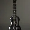Circa 1955 Rickenbacker BD-7 Deluxe 7-String Lap Steel Used