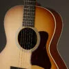 Collings C10 Western Shade Top Acoustic Guitar – New