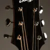 Collings C10 Western Shade Top Acoustic Guitar – New