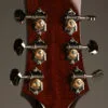 Collings C10 Western Shade Top Acoustic Guitar – New