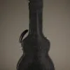 Collings C10 Western Shade Top Acoustic Guitar – New