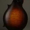 Collings MF 0 Gloss Top Mandolin – New