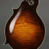 Collings MF5 Mandolin – New