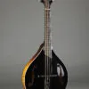 Collings MT Gloss Top Mandola – New