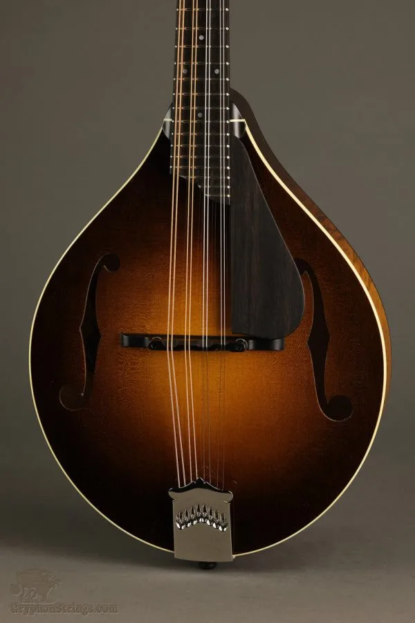 Collings MT Gloss Top Mandolin – New