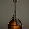 Collings MT Gloss Top Mandolin – New