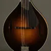 Collings MT Gloss Top w/ Pickguard Mandolin – New