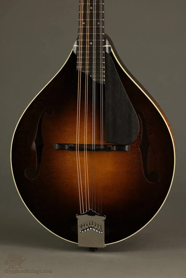 Collings MT Gloss Top w/ Pickguard Mandolin – New