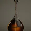 Collings MT Gloss Top w/ Pickguard Mandolin – New