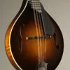 Collings MT Gloss Top w/ Pickguard Mandolin – New