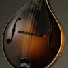 Collings MT Gloss Top w/ Pickguard Mandolin – New