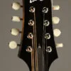 Collings MT Gloss Top w/ Pickguard Mandolin – New