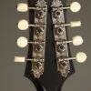 Collings MT Gloss Top w/ Pickguard Mandolin – New