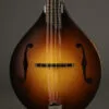 Collings MT Mandola – New