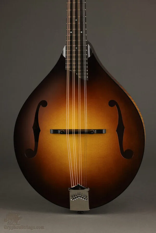 Collings MT Mandola – New
