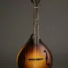Collings MT Mandola – New