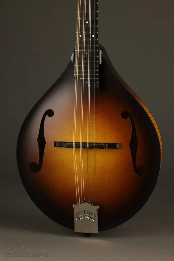 Collings MT Mandolin – New