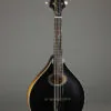 Collings MT O Black Top Mandolin & Ivoroid Binding – New