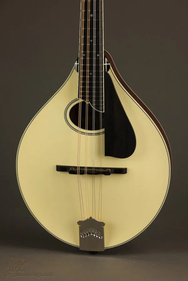 Collings MT2 O Cream Mandolin – New