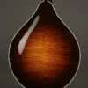 Collings MT2 O Oval Hole Mandolin – New