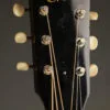 Creek CSJ 1959 Aged Torrefied Adirondack Steel String Acoustic Guitar – New