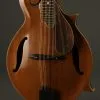 David Cohen F5 Style Walnut Mandolin New
