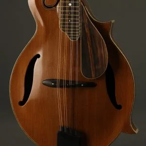 David Cohen F5 Style Walnut Mandolin New