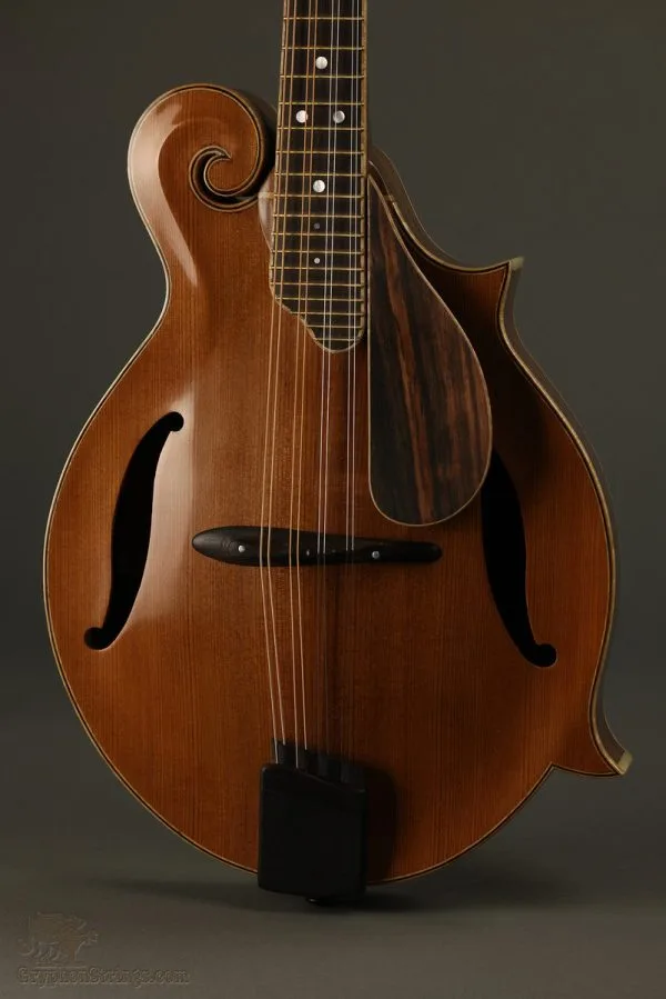 David Cohen F5 Style Walnut Mandolin New