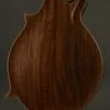 David Cohen F5 Style Walnut Mandolin New